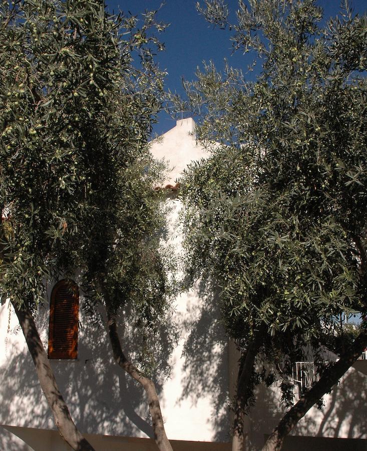Residence Villa Tina Forio di Ischia Esterno foto